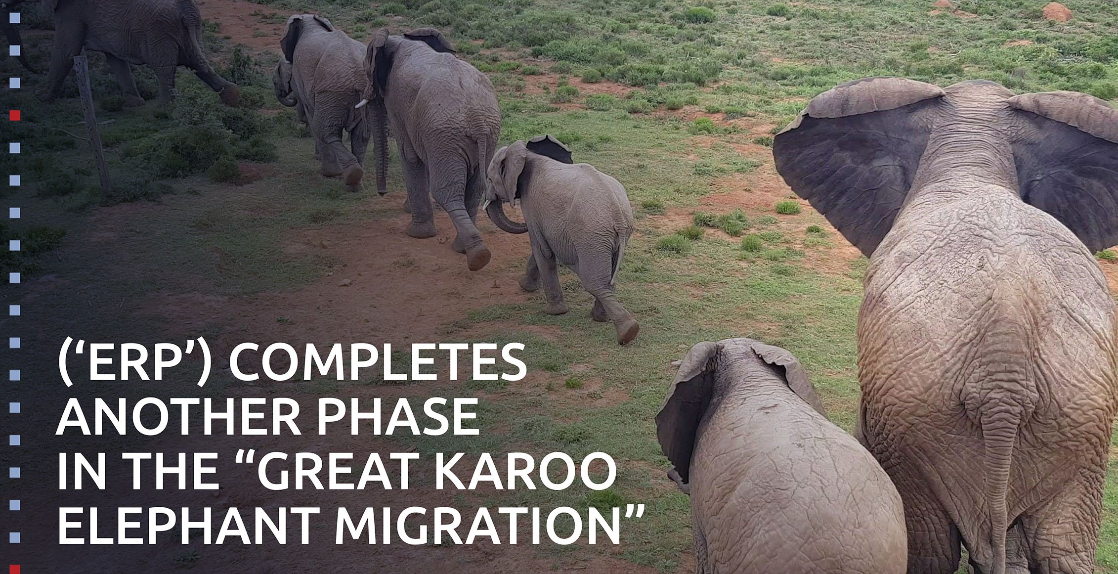 (‘ERP’) completes another phase in the - Great Karoo Elephant Migration