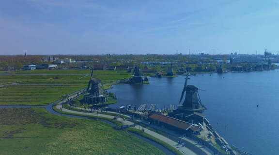 How DSM gives Heineken data on-demand