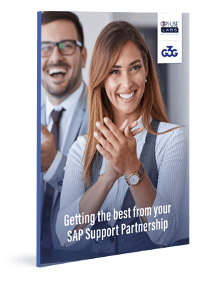 20220708_Are_you_getting_the_best_from_your_SAP_Support_Partnership__book_mockup
