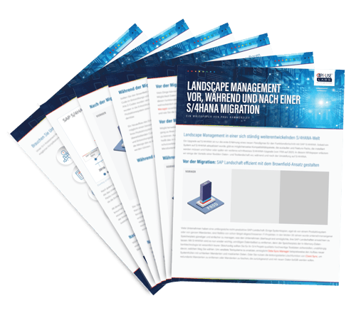 Whitepaper_S4HANA_Migration