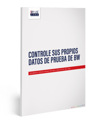 DSM-for-BW-whitepaperlead-magnet_asset-thumb_ES