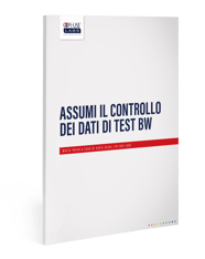 DSM-for-BW-whitepaperlead-magnet_asset-thumb_IT