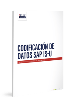 20220523 ES SAP IS-U data_white paper image