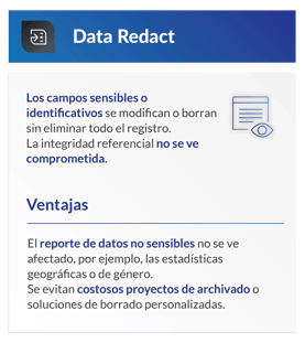 DSM_Data_Privacy_Suite_Graphics_ES_2026_Data_Redact