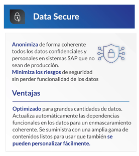 DSM_Data_Privacy_Suite_Graphics_ES_2026_Data_Secure