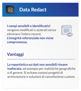 DSM_Data_Privacy_Suite_Graphics_IT_2026_Data_Redact