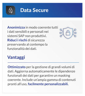 DSM_Data_Privacy_Suite_Graphics_IT_2026_Data_Secure