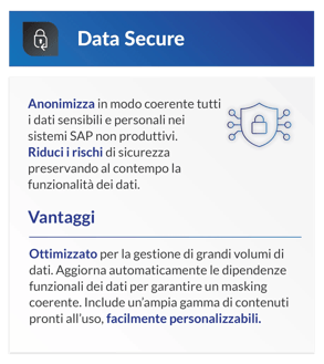 DSM_Data_Privacy_Suite_Graphics_IT_2026_Data_Secure