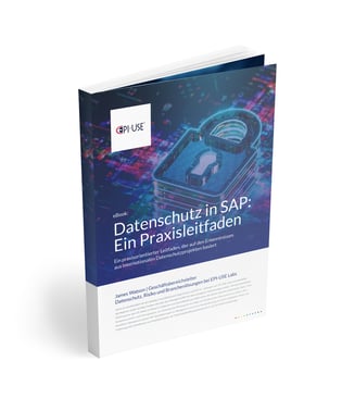 Praxisleitfaden Datenschutz in SAP