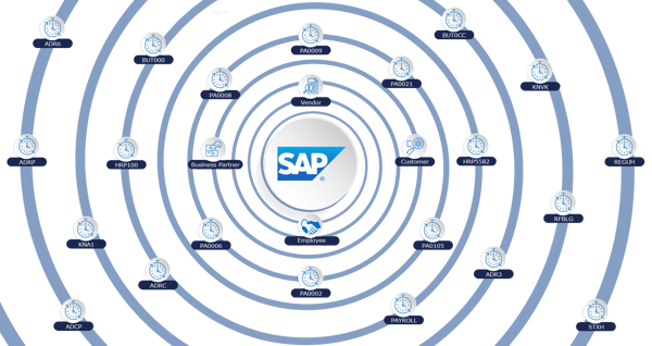 SAP: a common business scenario model demonstrating complexity