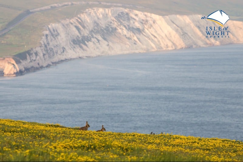 isle of wight