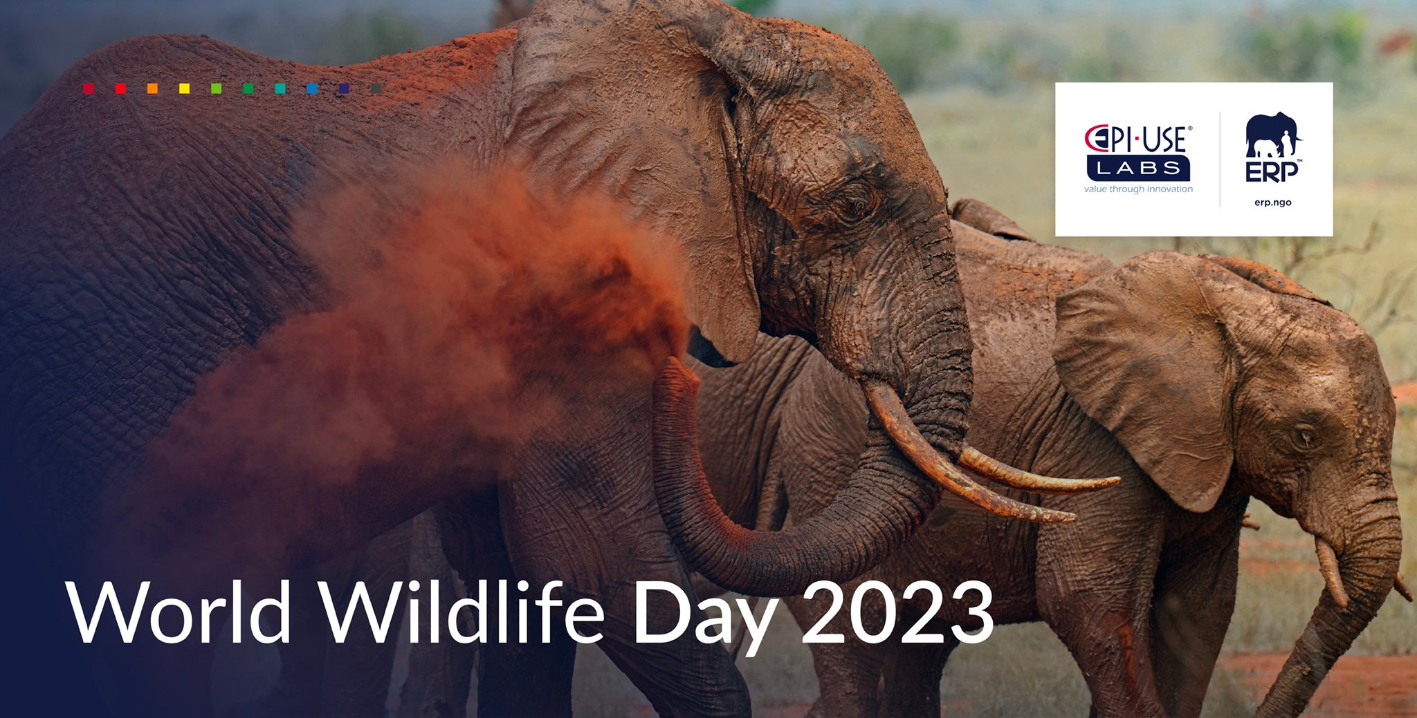 284708-World_Wildlife_day-Social-Media