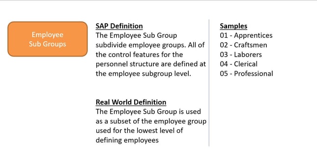 SAP HCM Reporting Employee Sub Groups