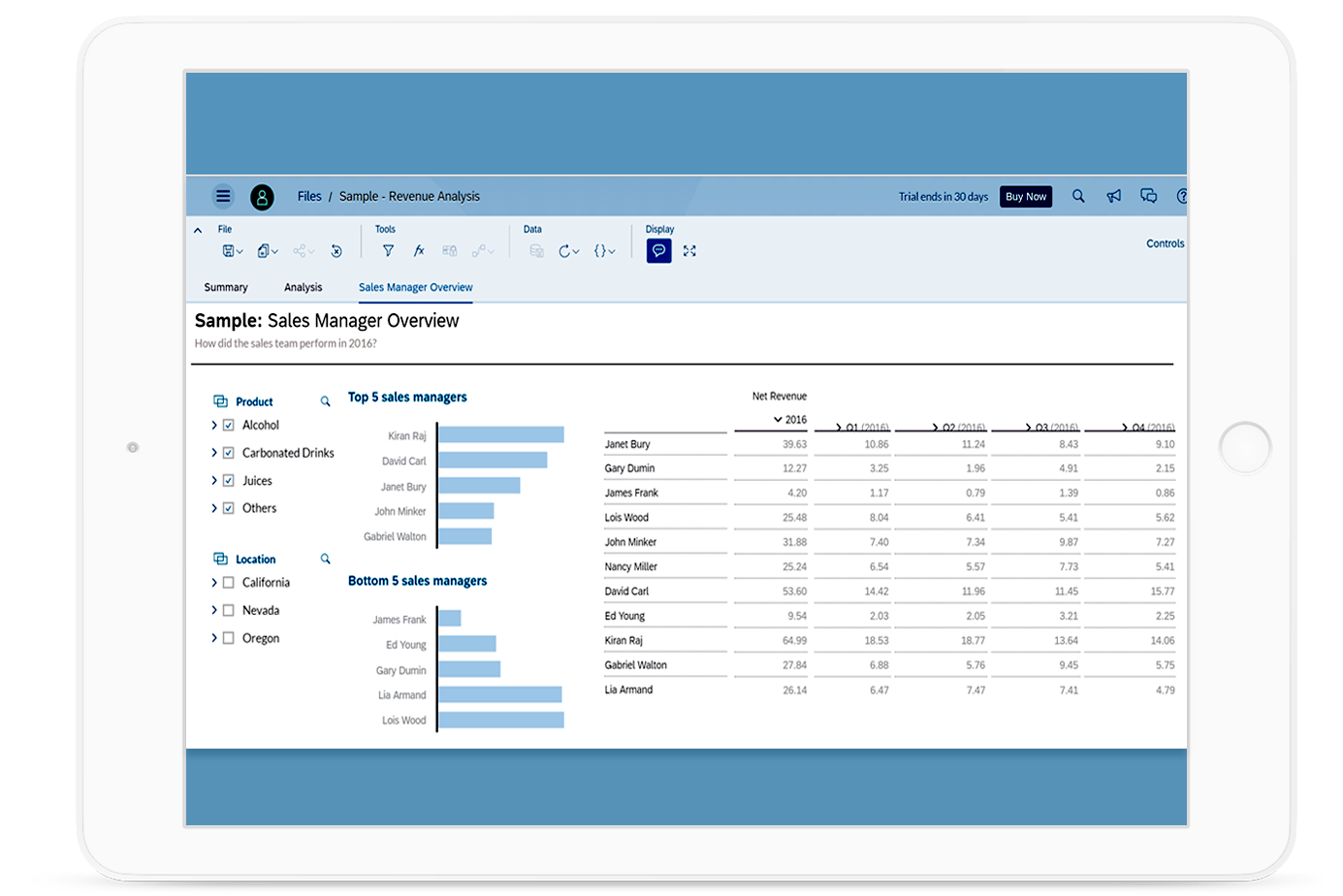 Sales Manager Overview