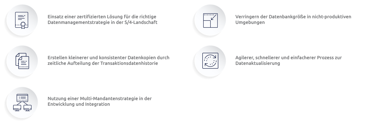 WAS HAT IBEROSTAR MIT DATA SYNC MANAGER FÜR S/4HANA ERREICHT?