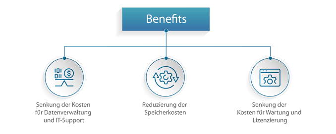 Blog- Data archiving is critical_Graphic 1 DE