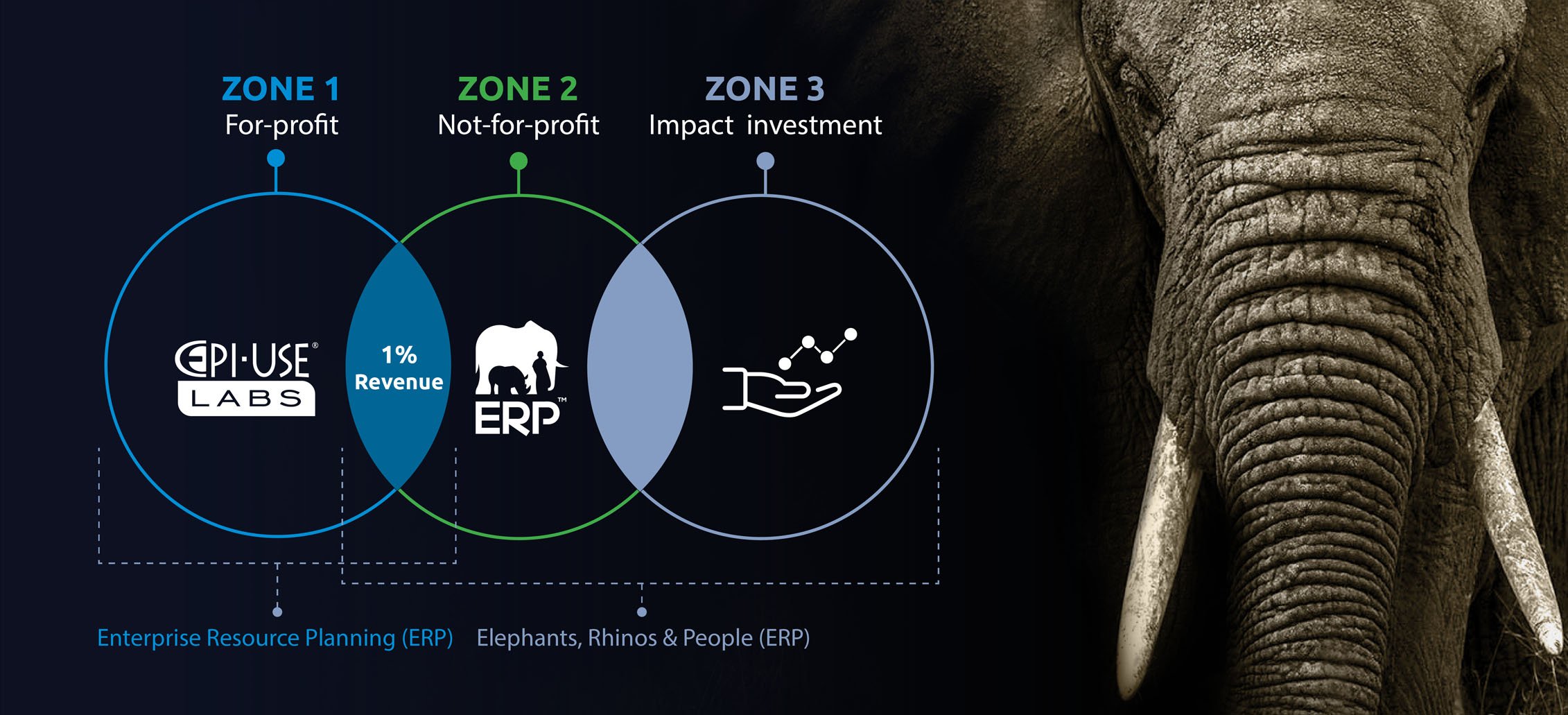 Hybrid Business Model