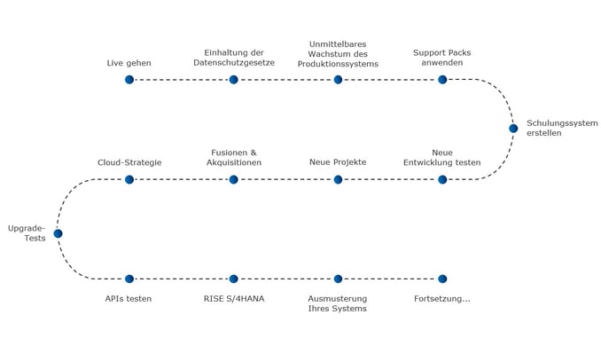 DSM webinar PPT v9_DE