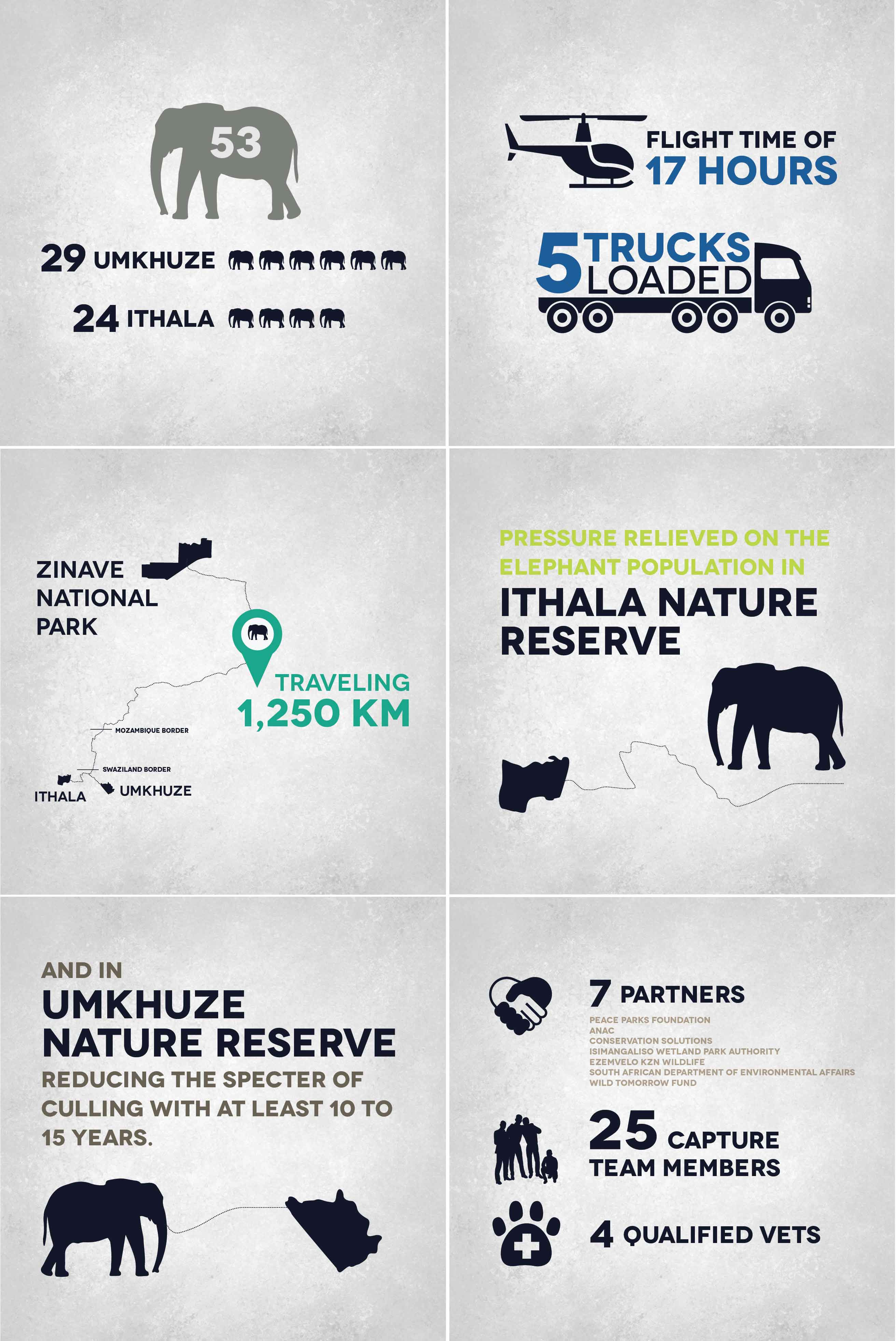 ERP Translocation Graphic