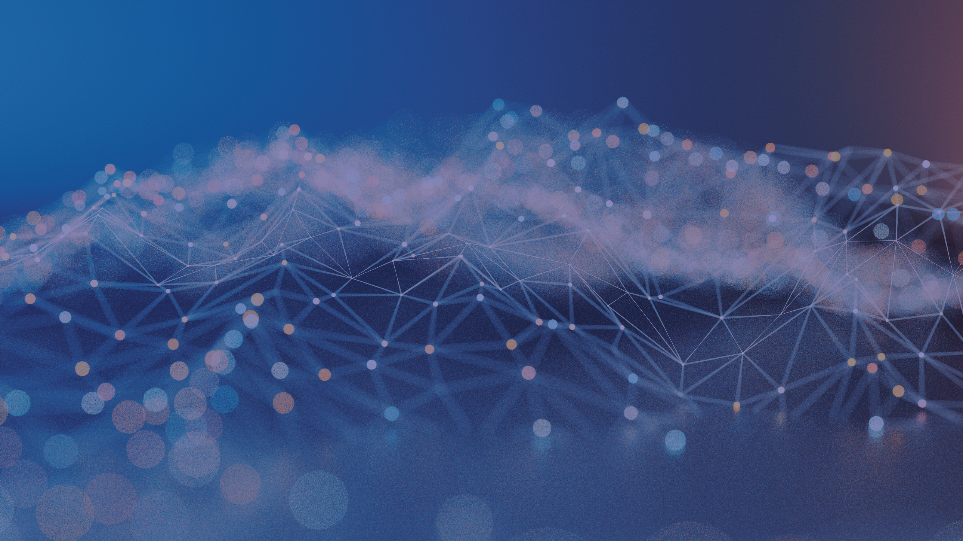 Banner image-01