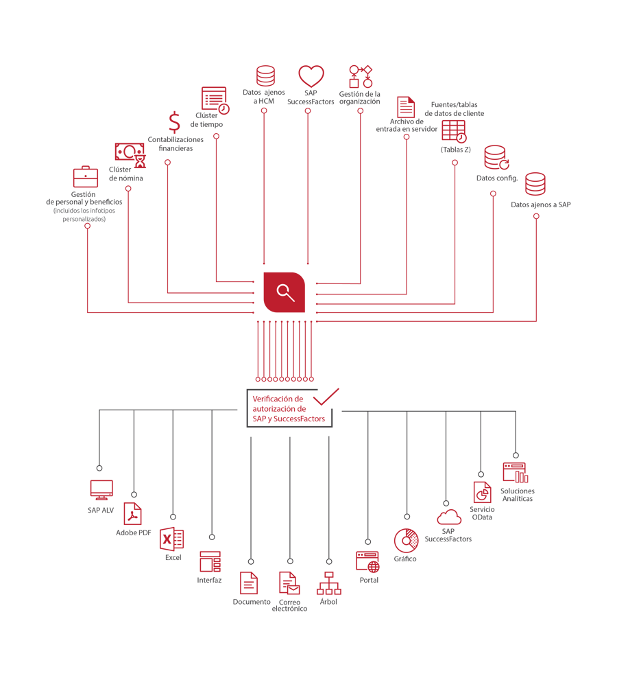 QM_Spider_Diagram-ES-Sep2020-01