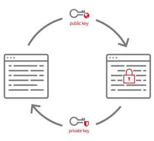 RSA asymmentric key encryption (Private/Public key support) Cifrado clave asimétrico RSA (clave privada o pública)