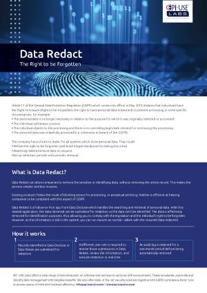 Download Data Redact Brochure