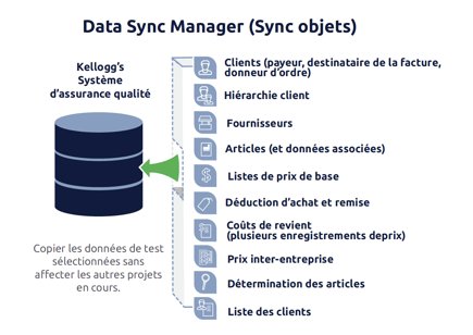 Data Sync Manager (Sync objects)