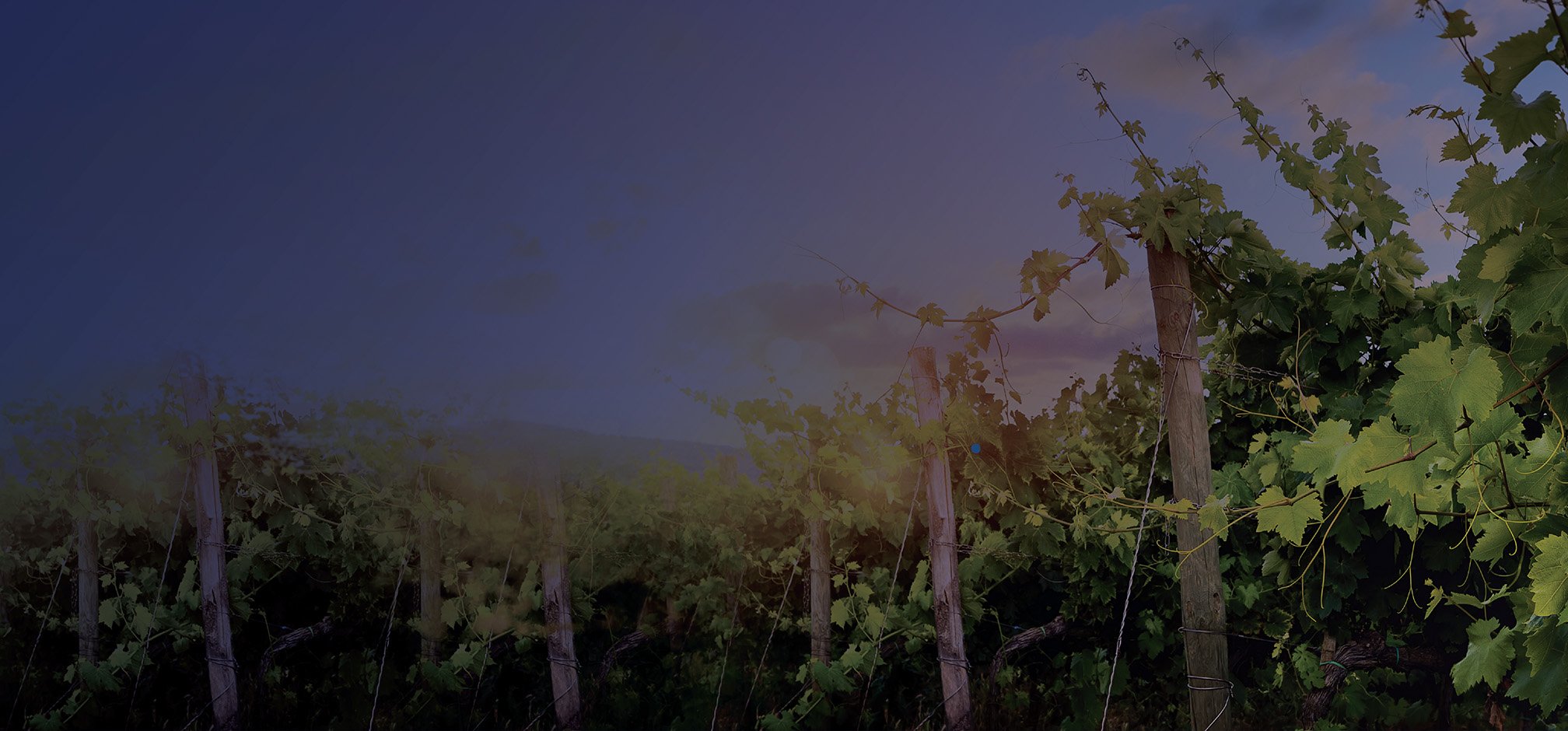 Landing Page Header_5 Feb_option6-1