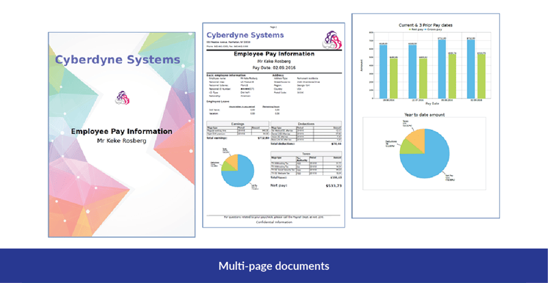 Muti-page formatted documents_V2