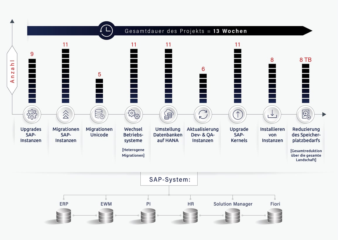 SAP_systems_infographic_24_Jan-06