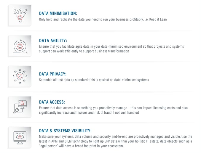 The five principles of Lean Secure SAP