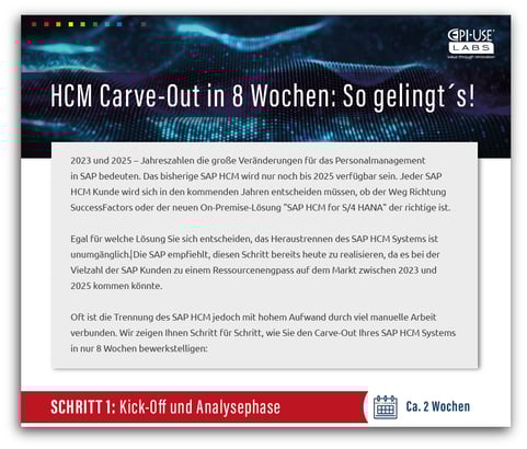 HCM Carve-Out in 8 Wochen