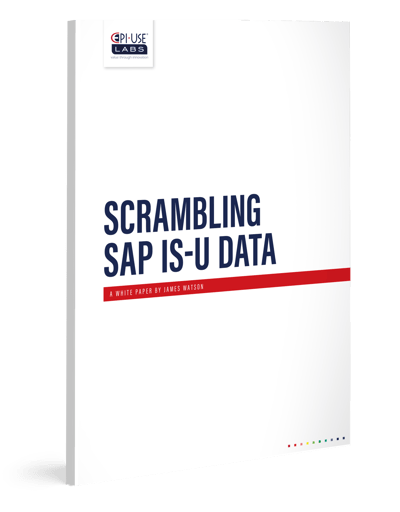 White_paper-_Scrambling_SAP_IS-U_data_3D_Model_V1