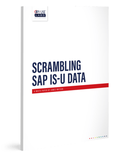 White_paper-_Scrambling_SAP_IS-U_data_3D_Model_V1