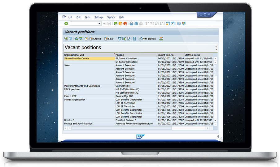 Standard SAP-delivered vacancy report