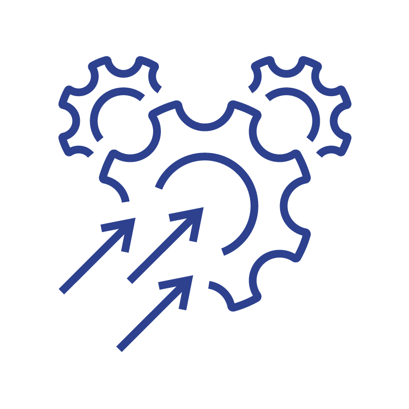 Anonymised Success Story_DSM_Icons-21