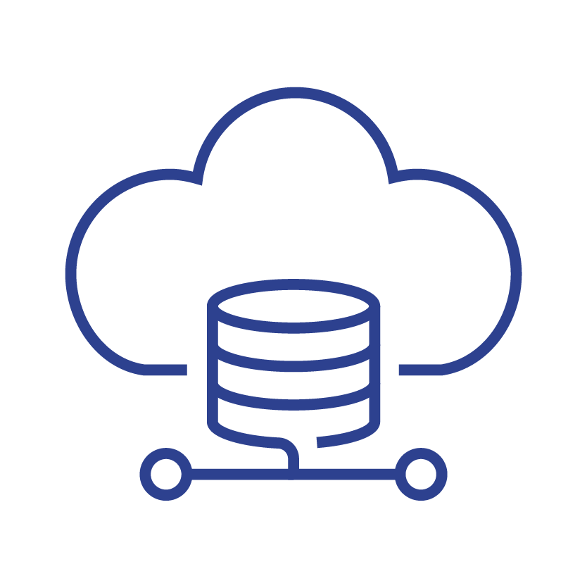 Anonymised Success Story_DSM_Icons-28