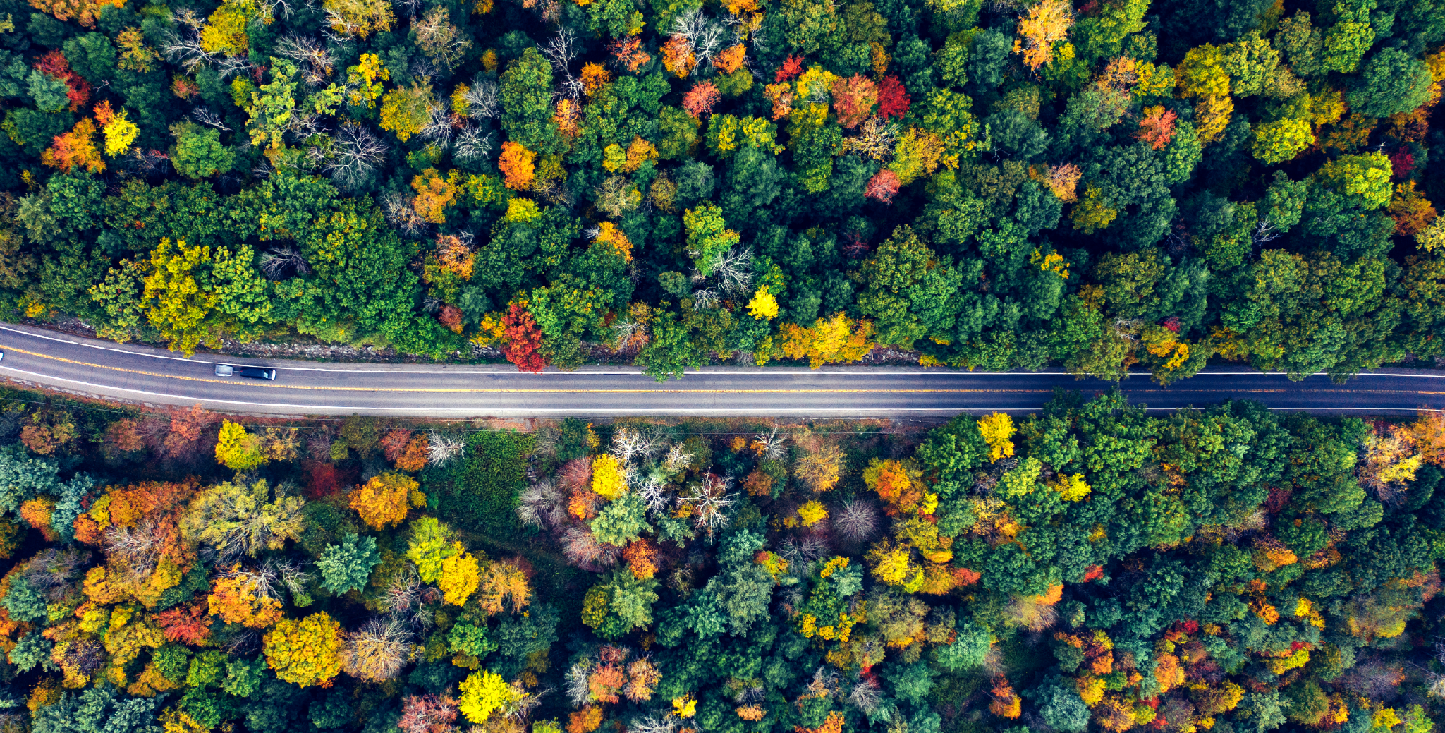 Future-proof your governance and risk in SAP