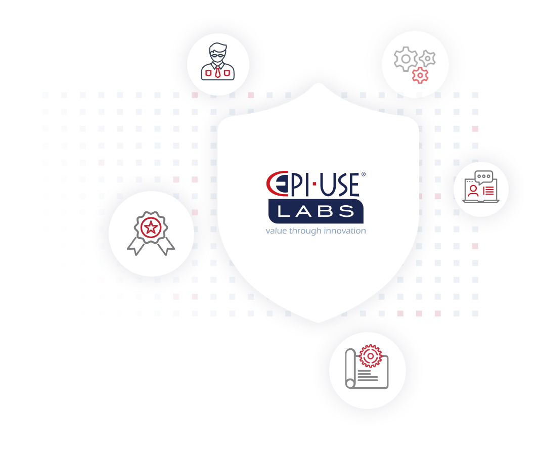 EPI-USE Labs assists companies in the following ways with their information security programs and certifications