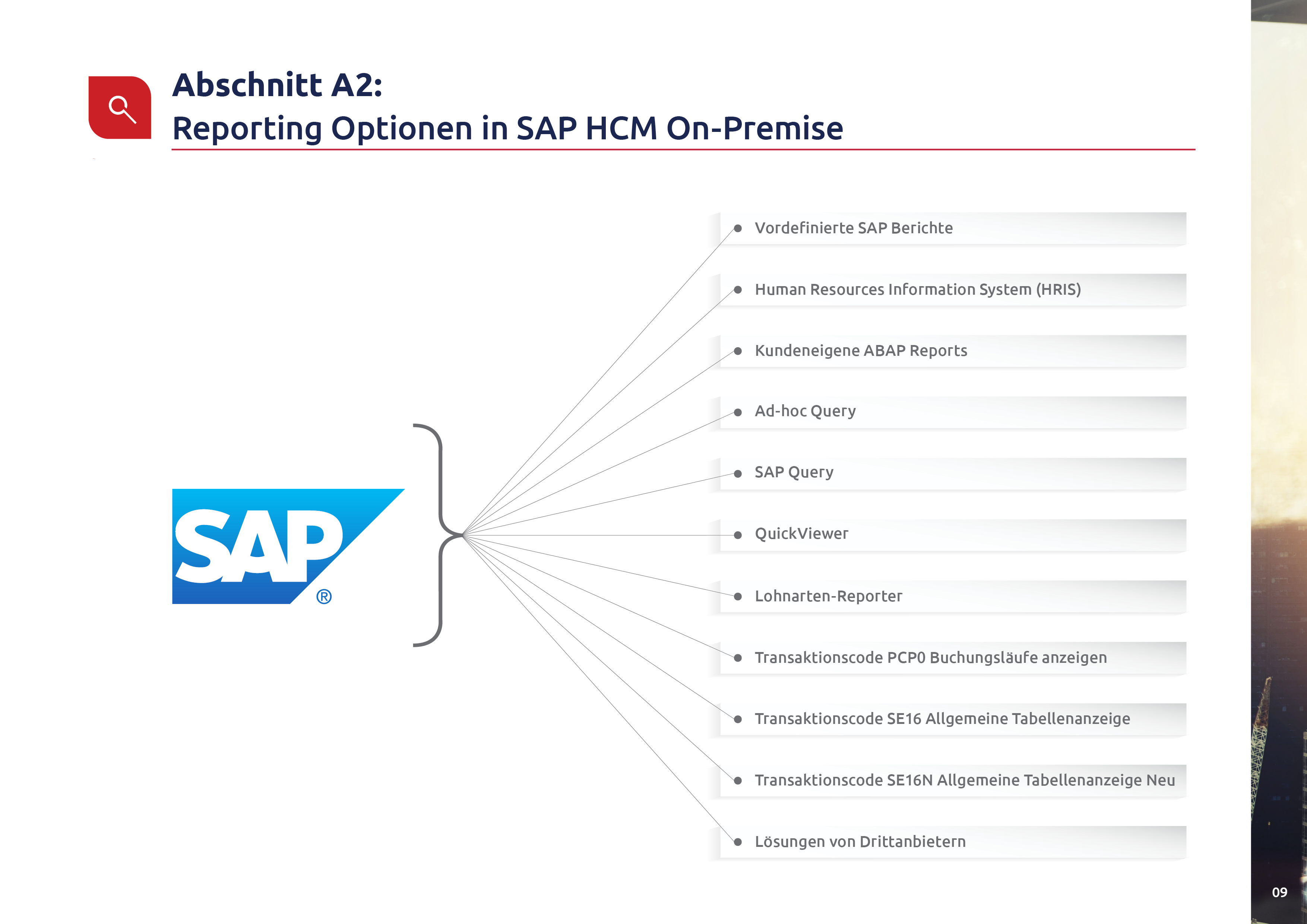 SAP HCM & SuccessFactors customers p11