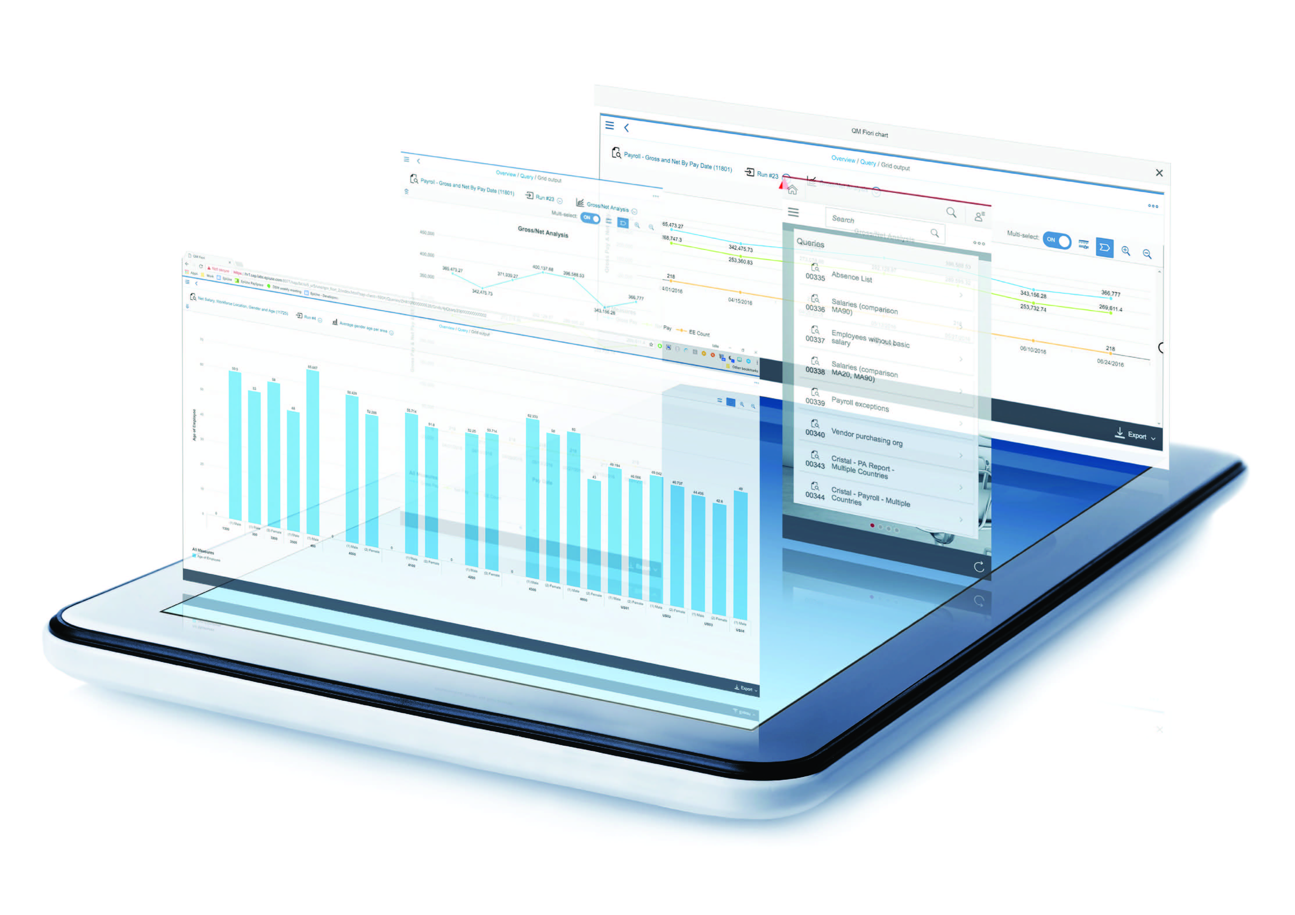 SAP HCM & SuccessFactors customers p6