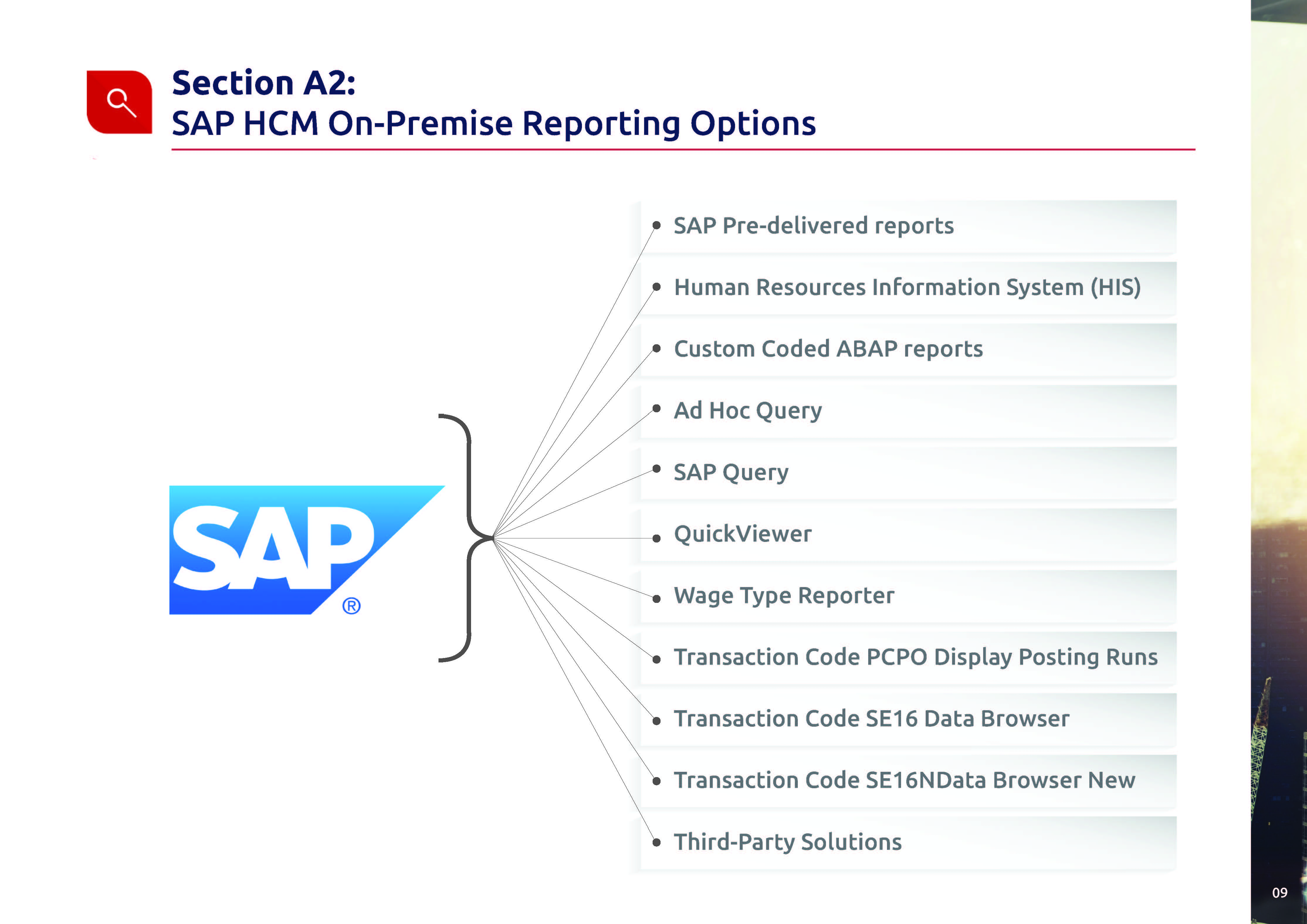 SAP HCM & SuccessFactors customers p11